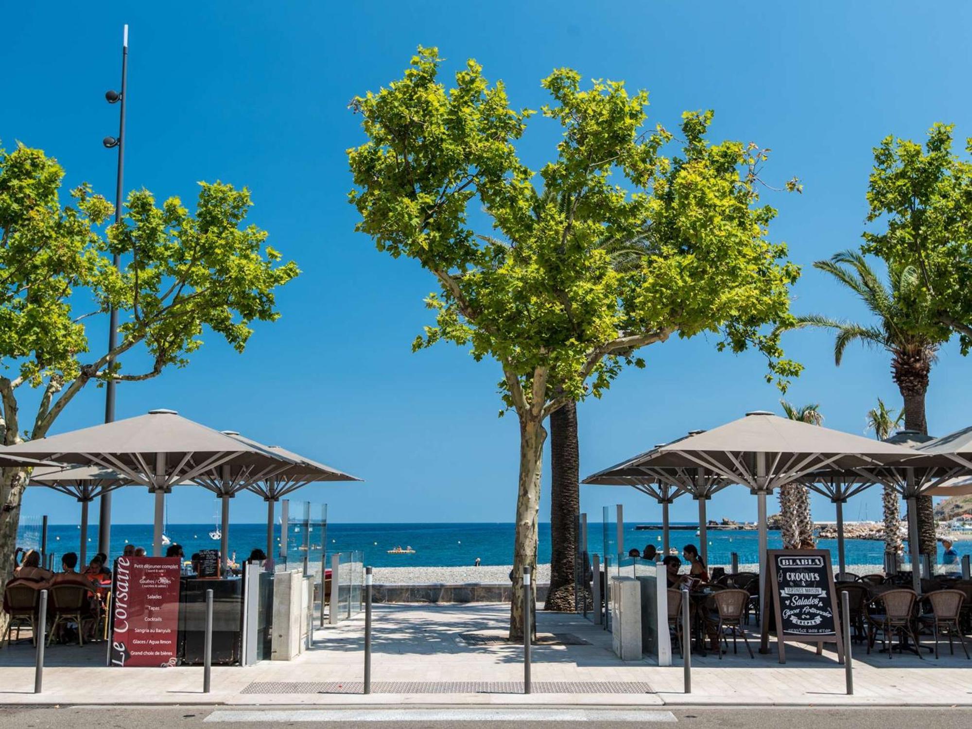 Appartement 2 Pieces Climatise Avec Terrasse Et Parking A Banyuls-Sur-Mer - Fr-1-225C-500 Exterior photo